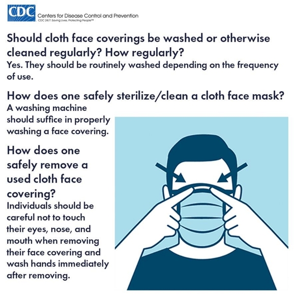 Face Mask
Pink Carnations *Protective - Picture 6 of 16